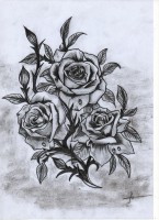 /album/dessin/img082-jpg/